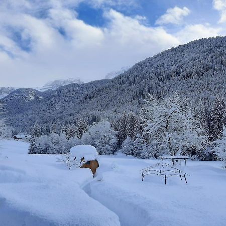 Maso Pin Bed & Breakfast Madonna Dış mekan fotoğraf