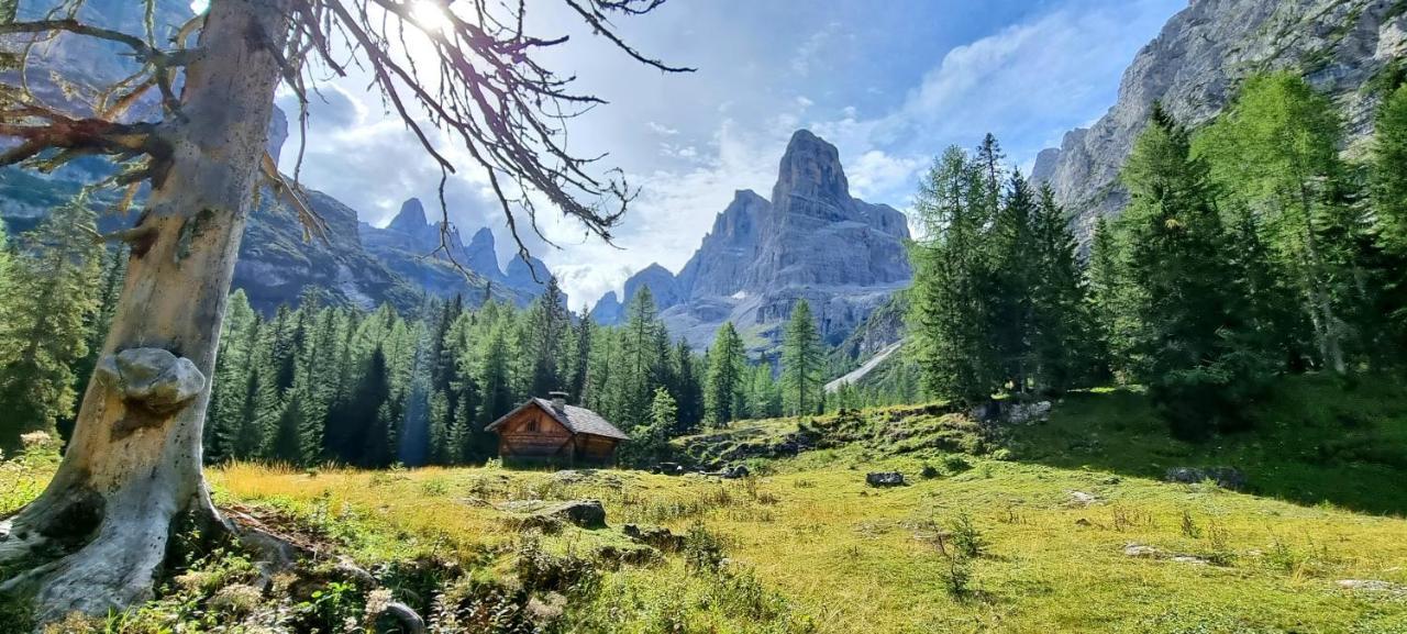 Maso Pin Bed & Breakfast Madonna Dış mekan fotoğraf