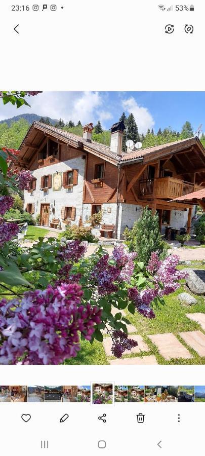 Maso Pin Bed & Breakfast Madonna Dış mekan fotoğraf