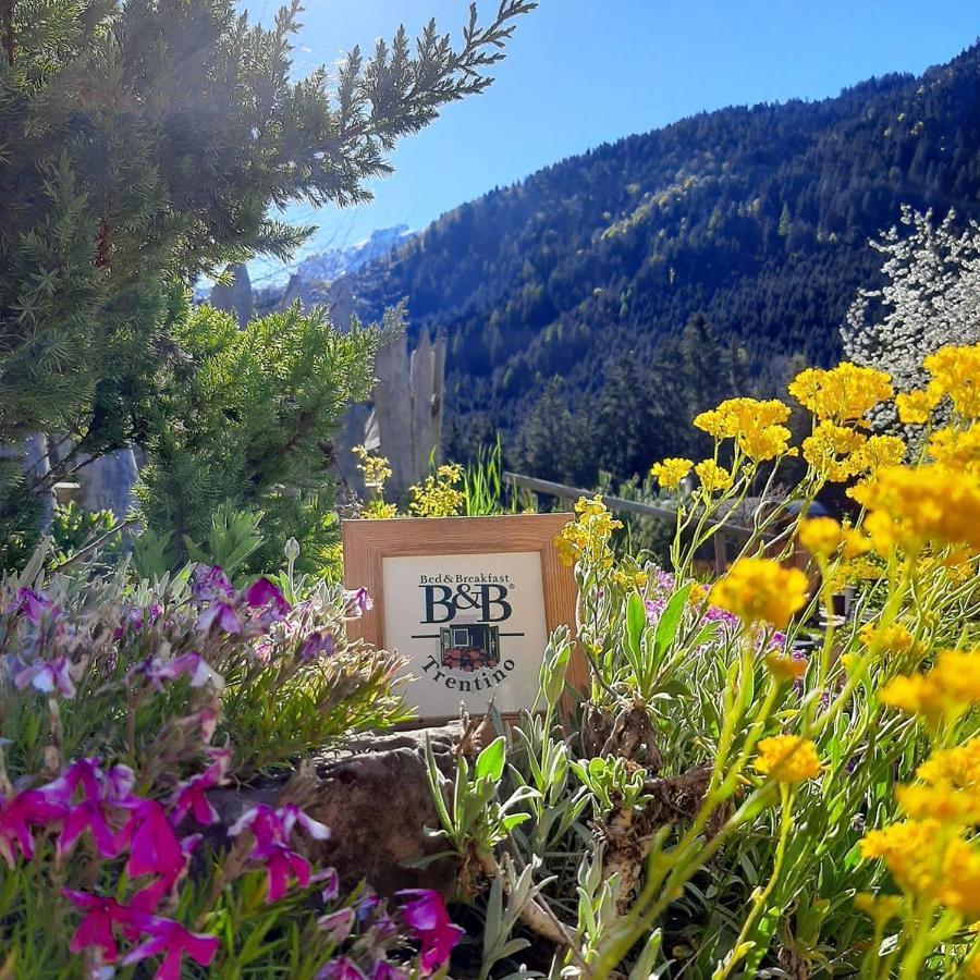 Maso Pin Bed & Breakfast Madonna Dış mekan fotoğraf
