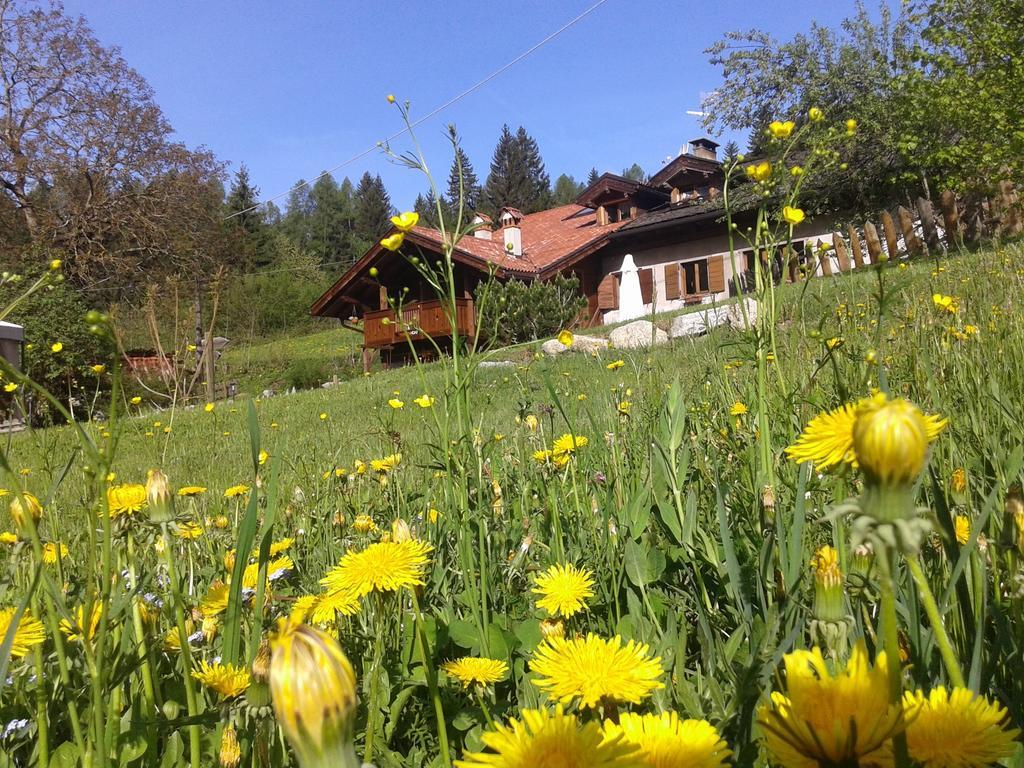 Maso Pin Bed & Breakfast Madonna Dış mekan fotoğraf