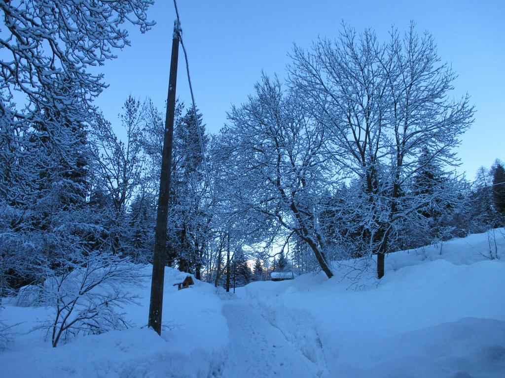 Maso Pin Bed & Breakfast Madonna Dış mekan fotoğraf