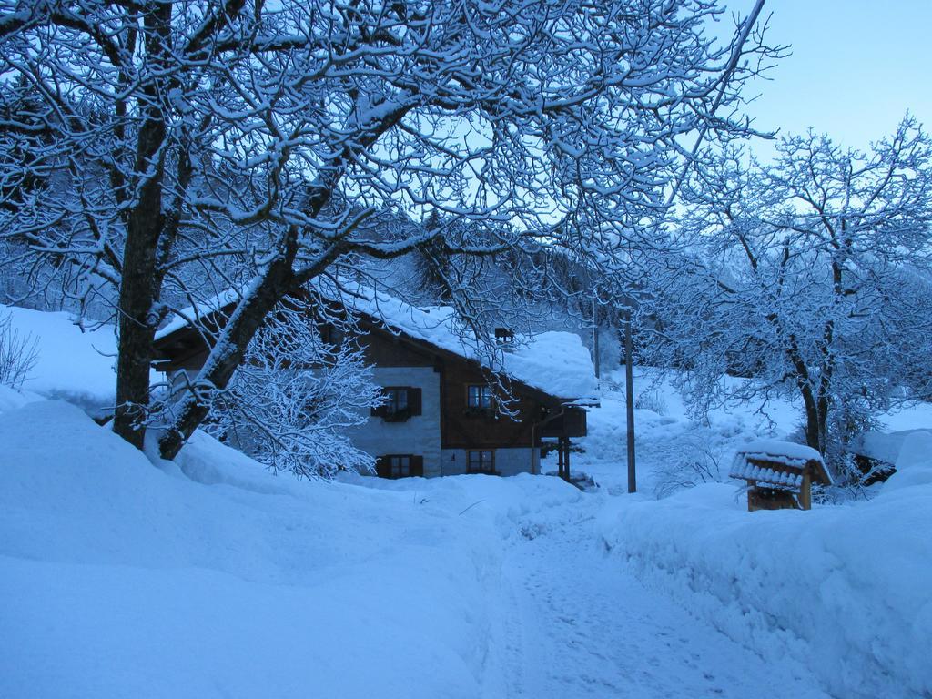 Maso Pin Bed & Breakfast Madonna Dış mekan fotoğraf