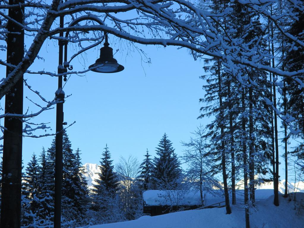 Maso Pin Bed & Breakfast Madonna Dış mekan fotoğraf