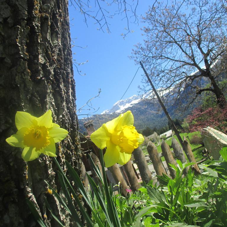 Maso Pin Bed & Breakfast Madonna Dış mekan fotoğraf